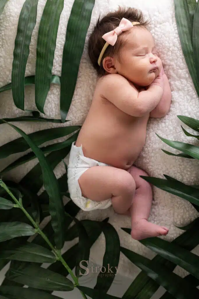 newborn photo in colorado springs