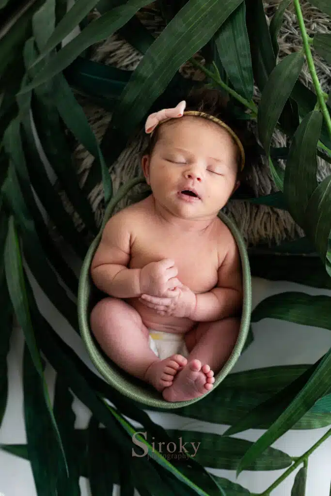 newborn photo in colorado springs